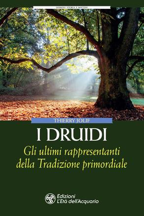 I druidi